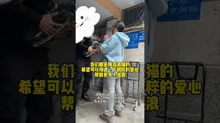 天冷了，你可能需要一个猫绒绒的床搭子 我和流浪猫的故事 [upl. by Turino]