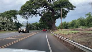 This is what its like Driving from Maui Kahului to Kaanapali Scenic Drive and Islandhawaii maui [upl. by Laveen]