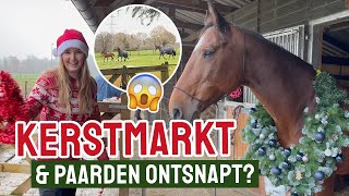 Paarden ontsnapt  Kerstmarkt amp Kerstfotos  Vlogmas 5 [upl. by Yenor]