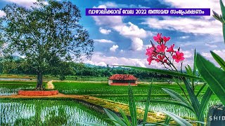 Vazhalikkavu Vela Live  വാഴലിക്കാവ് വേല 2022  Thrissur [upl. by Aihsad874]