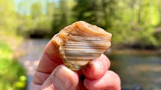 A River Full of Gems  Agate Hunting in Minnesota  Rockhounding [upl. by Daryl]