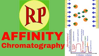 Affinity chromatography Animated  How to separate specific molecules by affinity chromatography [upl. by Willyt919]