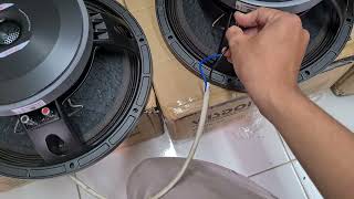 Speaker WISDOM 12 INCH W30085 Raja suara mid low dandgut Kirim ke ponorogo tes suaranya jan wenak [upl. by Godard]