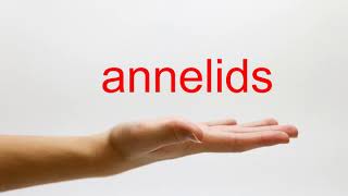 How to Pronounce annelids  American English [upl. by Gordie]