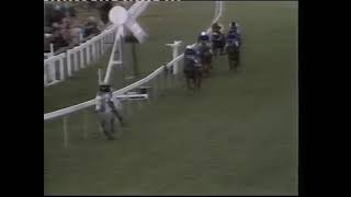 1984 Tolworth Hurdle  Desert Orchid [upl. by Burra]