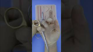 Tijeras para Palmear ✂️ tutorial sutura veterinaria medicamento datoscuriosos desafío [upl. by Ahsuoj]