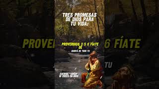 Tres PROMESAS de DIOS para tu vida💖🙏 [upl. by Einalem]