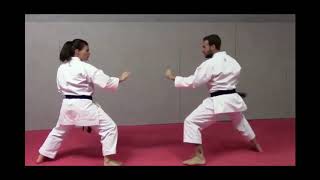 Bunkai Heian Nidan par Sonia FIUZA [upl. by Comfort]