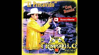 El Tigrillo Palma Corrido Del Precavido [upl. by Blainey]