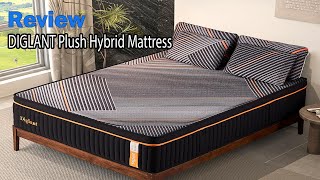 DIGLANT 14 Inch Plush Hybrid Mattress Review  Is It Worth The Investment [upl. by Juliet]