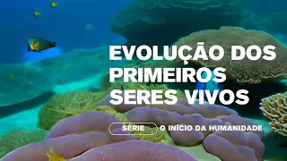 Evolução dos Primeiros Seres Vivos  Episódio 2 da Série O Inicio da Humanidade [upl. by Nanine]