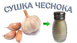 Сушка чеснока Приготовление чесночного порошка [upl. by Reeba686]