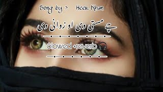 Che masti v aw zwani v slowed reverb song by heer khan foryou slowed trending pashto [upl. by Demodena404]