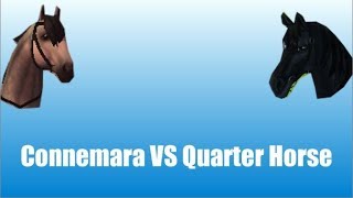 SSO Connemara VS Quarter Horse [upl. by Ynaffets]