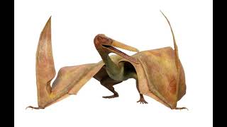 Pterodactyls Roar Dino Dan [upl. by Ybbil772]