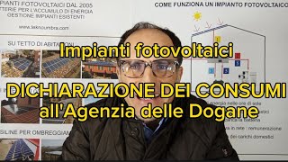 Come compilare la Dichiarazione dei consumi per gli impianti fotovoltaici allAgenzia delle Dogane [upl. by Ihn473]