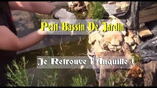 Je Vide Le Petit Bassin  Je Retrouve lAnguille [upl. by Negeam]