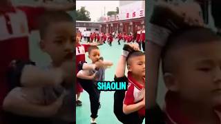 Shaolin Warriors in Training Unbelievable Kung Fu Skills [upl. by Sawyor]