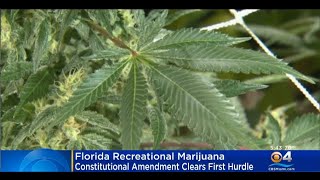 Florida recreational cannabis proposal clears initial hurdle [upl. by Nommad674]