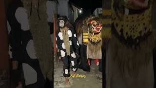 Barong Bangkung ajak monyet ngelawang [upl. by Winthrop35]