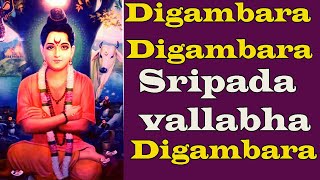 Digambara Digambara Sripada sri Vallabh Digambara MEDITATION mantra digambara mantra for positive [upl. by Dygert]