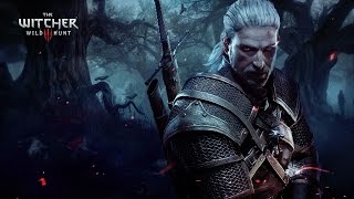 The Witcher 3  Xeon e5450 36Ghz  GTS 450 1Gb [upl. by Elladine]