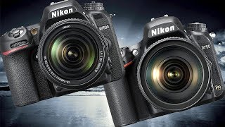 Nikon D750 vs Nikon D7500 High ISO Performance [upl. by Mazman758]