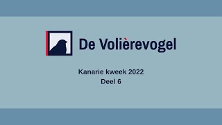 Kanarie kweek 2022 Deel 6 [upl. by Ylrebmek918]