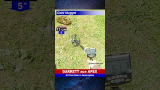 Garrett ace Apex metal detector Real Test with Small Gold Nugget metaldetector short garrettapex [upl. by Raven357]