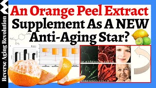 An Orange Peel Extract As a NEW AntiAging Star Reverses Senescence Rejuvenates Skin amp MORE [upl. by Marlie120]