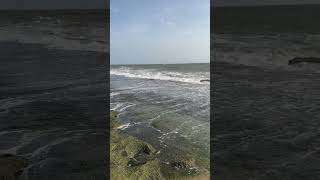 Unique sri lankan way of stoping sea erosion in sri lankan beach [upl. by Childs280]