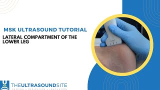 Musculoskeletal ultrasound evaluation of the lateral compartment of the lower leg [upl. by Achilles295]