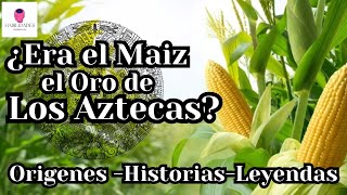 El Maíz Considerado el Oro de los Aztecas [upl. by Jecoa838]