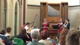 J S Bach Schafe können sicher weiden  performed by Scherzi Musici [upl. by Sigmund]