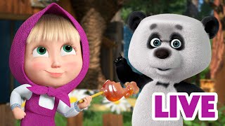 ماشا والدب 👱‍♀️ LIVE STREAM 🙅‍♀️😲 لم أكن أنا 🙅‍♀️😲 Masha and the Bear [upl. by Jordanna]