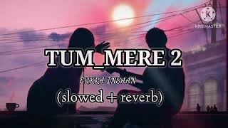 TUM MERE 2 Fukra Insaan редред Lofi song slowed  reverb редред [upl. by Ominoreg]