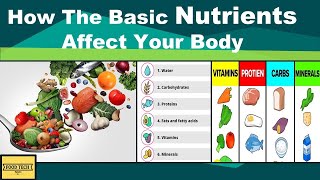 How The Basic Nutrients Affects Your Body  Function of 6 Basic Nutrients  Food Tech Speaks [upl. by Ohnuj]