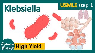 Klebsiella  klebsiella pneumoniae  clinical presentation risk factors and treatment of Klebsiella [upl. by Eenolem]