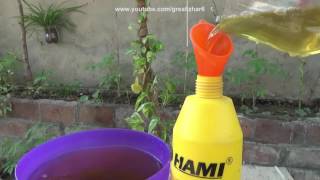 How to Make Pesticide From Neem Leaves  Pesticide for Plants  Start to End Urduhindi [upl. by Ayal]