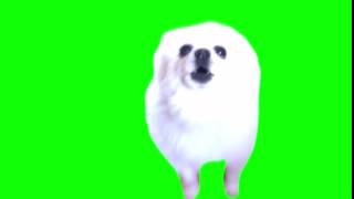 Bork green screen [upl. by Boony]