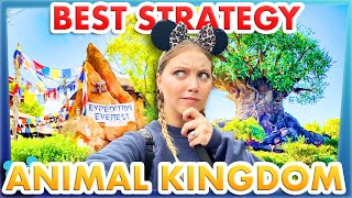 This is The BEST Strategy to do EVERYTHING in Disney World — Animal Kingdom [upl. by Ekud553]