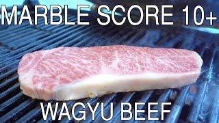 Cooking Wagyu Steak  Marble Score 10 8 [upl. by Laise]