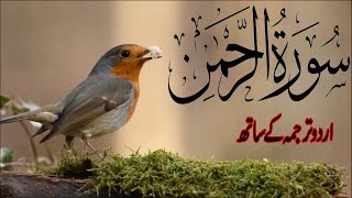 Surah Rahman With Urdu Translation full Qari Al Sheikh Abdul Basit Abdul Samad 2023 [upl. by Ahsikal]