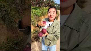 Friends Look How Beautiful The Delicious Apples 🍎 🍎 in Our Garden Are fruit apple youtubeshorts [upl. by Ellivro]