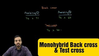 Monohybrid Back cross and Test cross [upl. by Currie]