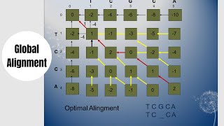 Global Alignment Explained Computational biology [upl. by Neelya]