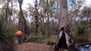 Riding the Old Timberline Trail and Sidings Rail Trail Nannup Western Australia [upl. by Nemrac851]