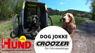 Der Croozer HundeAnhänger im Test [upl. by Aisad]