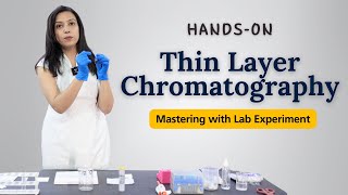 Mastering Thin Layer Chromatography Technique  TLC HandsOn Lab Experiment [upl. by Htesil]