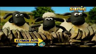 Shaun the sheep HINDI [upl. by Ayarahs304]